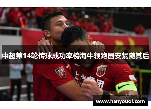 中超第14轮传球成功率榜海牛领跑国安紧随其后 中超第14轮传球成功率榜海牛领跑国安紧随其后